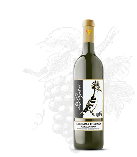 Vermentino